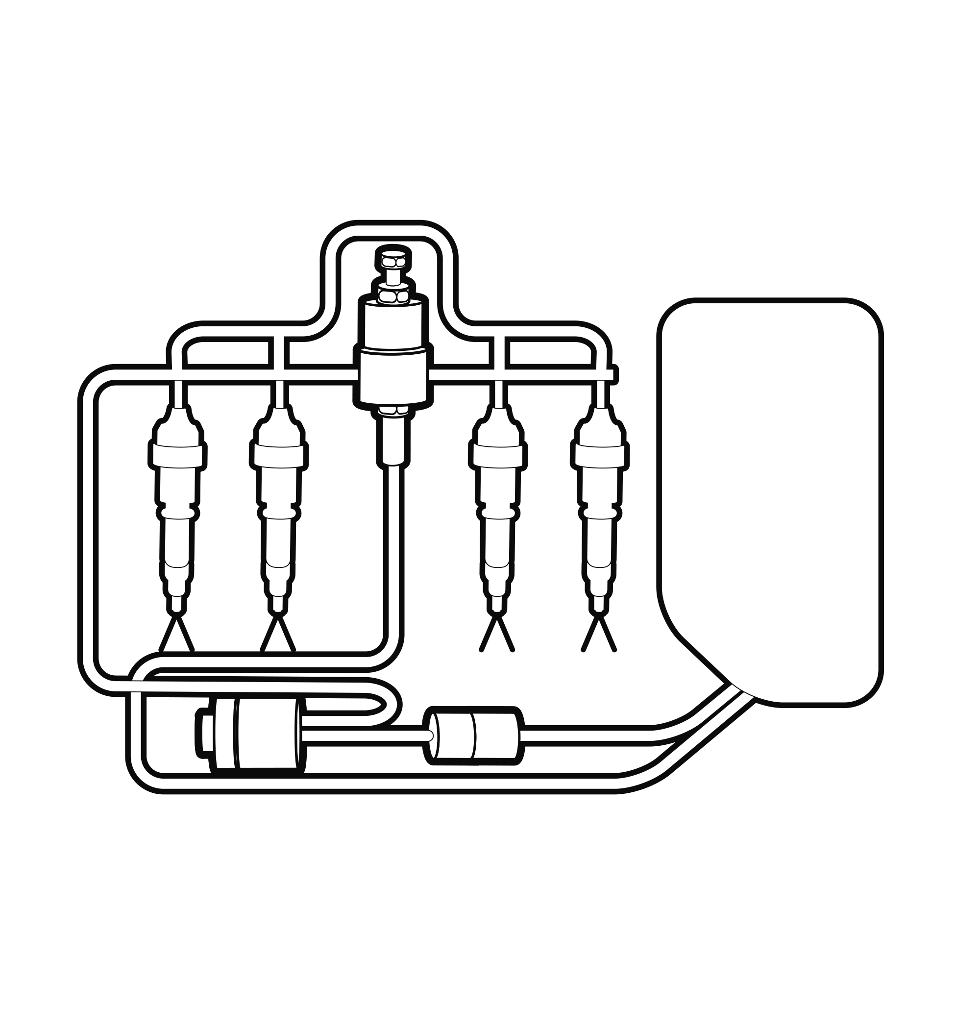 Fuel system - Petrol